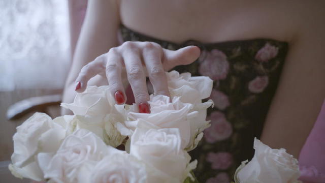 rosa rot image 32 