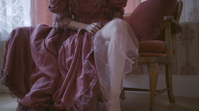 rosa rot image 17 